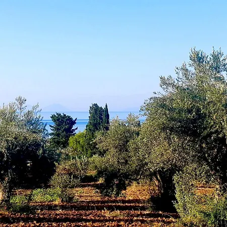 Willa Relais - Terrace On Aeolian Islands